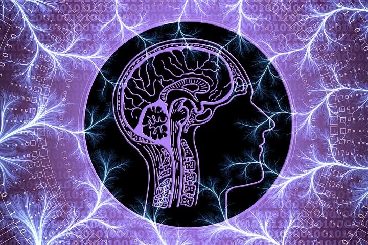 Çağdaş Paradigmanın Kutsalları