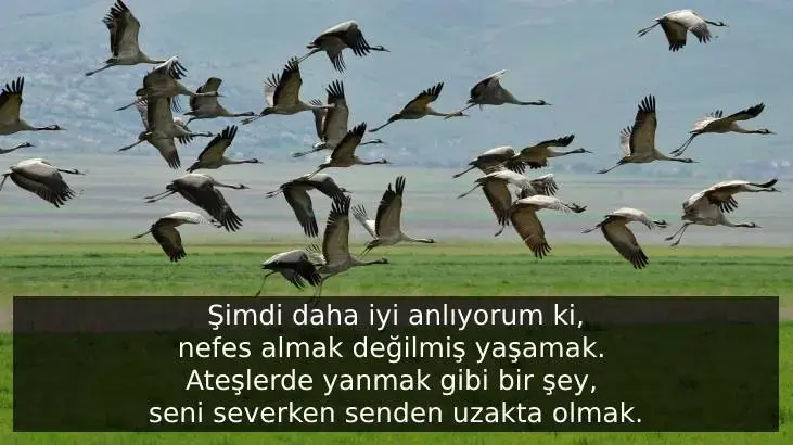 Sessiz Rüya